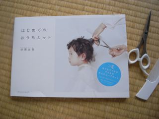 book_anzai.jpg