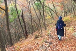 高城君の野外活動　門前山カフェのイメージ