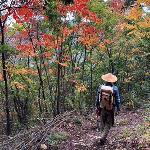 高城君の野外活動 門前山カフェ -11月- 祝日編のイメージ